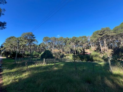 venta de terreno en club del lago