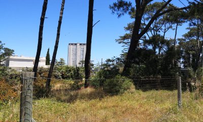 Venta Terreno esquinero Punta del Este