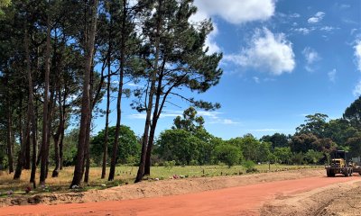 Venta Terrenos 1000 m2 Parque Burnett Punta del Este Barrio Semi Privado