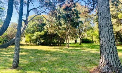 Venta de Terreno 3000 m El Golf Punta del Este