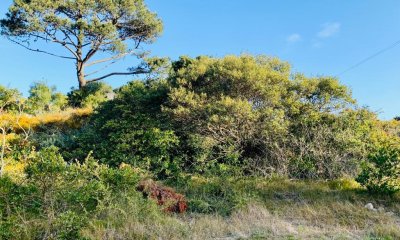 Venta Terreno Rincón del Indio Punta del Este