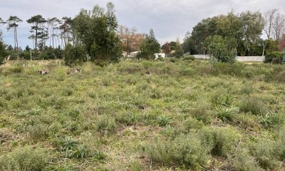 Venta terreno Punta del este