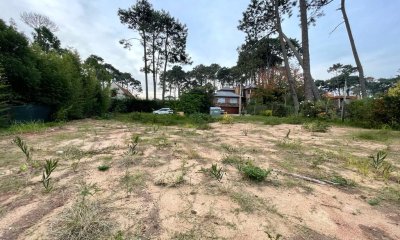 Venta Terreno 1000m2 en Punta del Este