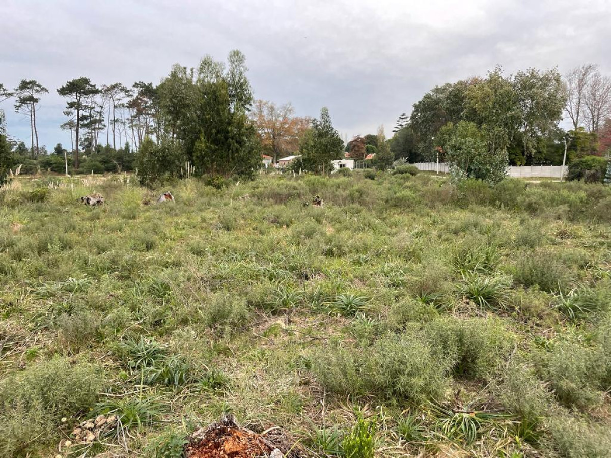 Venta terreno Punta del este