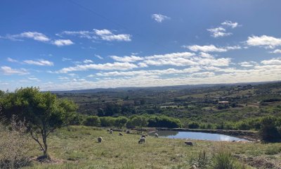 Vendo Hermosa Chacra en Las Cañas.