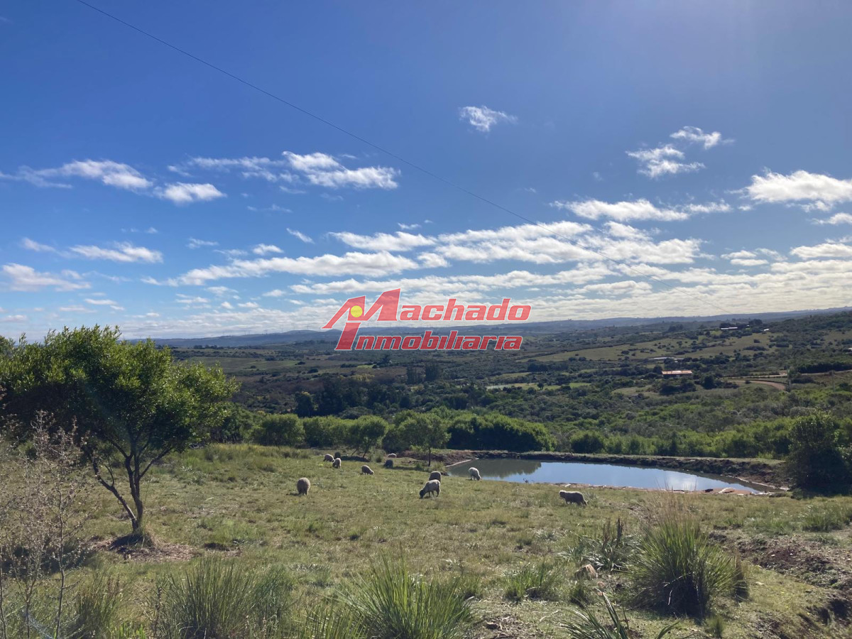 Las Cañas - GoPunta - Portal Inmobiliario de Punta del Este - Maldonado