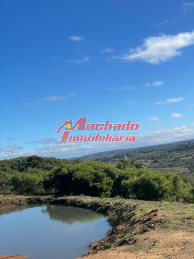 Las Cañas - GoPunta - Portal Inmobiliario de Punta del Este - Maldonado