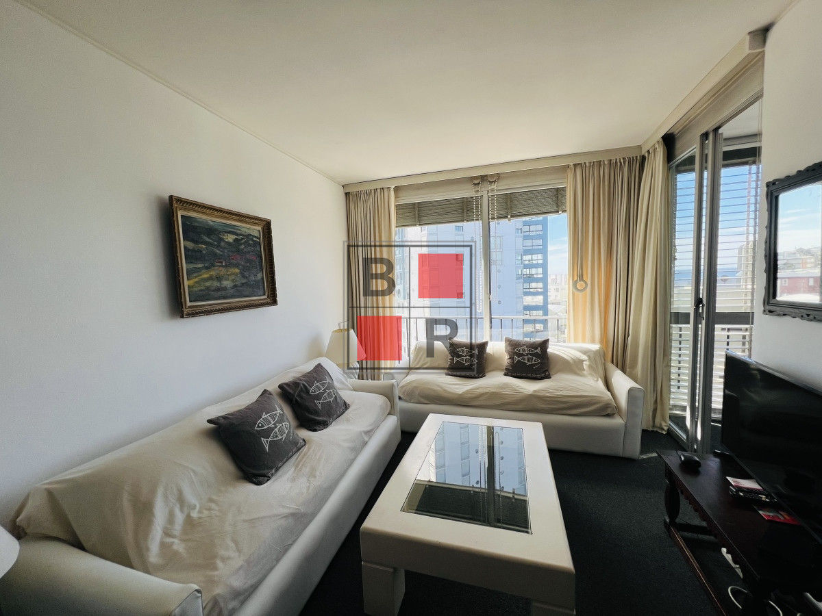 Apartamento ID.1027 - Alquiler de encantador apartamento en Peninsula.