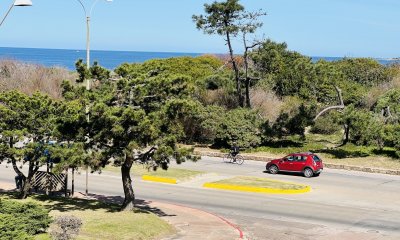 Apartamento Primera Linea Playa Mansa.