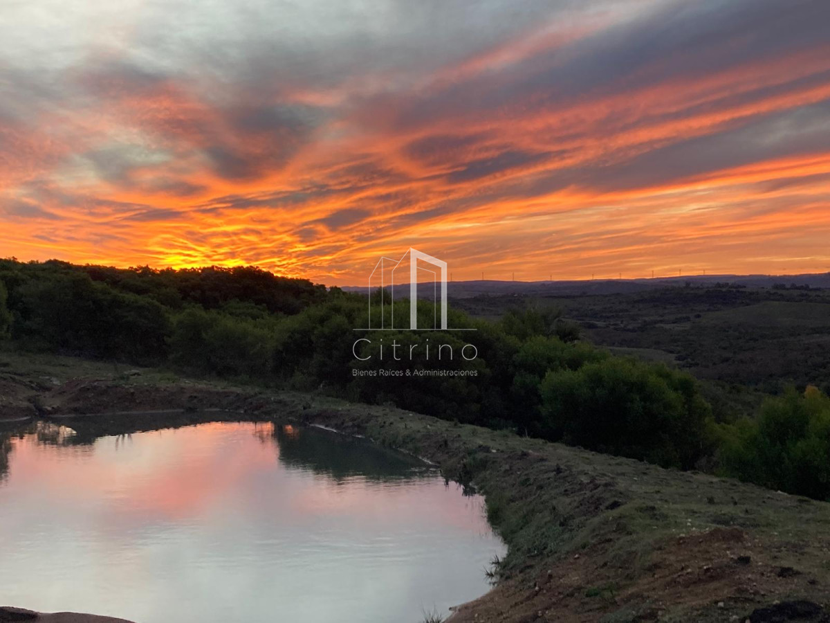 Chacra ID.1208 - Vendo Hermosa Chacra en Las Cañas.