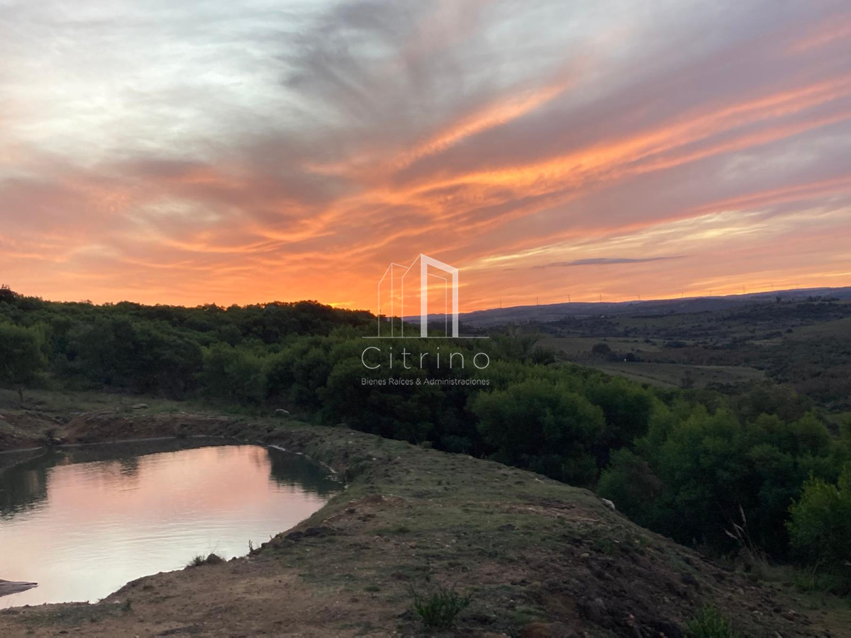 Chacra ID.1208 - Vendo Hermosa Chacra en Las Cañas.