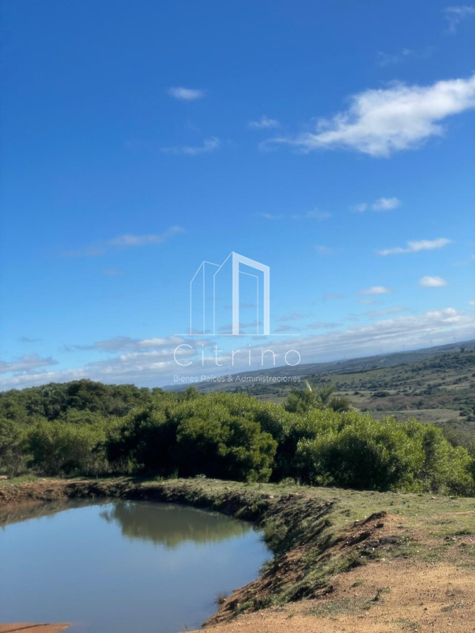 Chacra ID.1208 - Vendo Hermosa Chacra en Las Cañas.