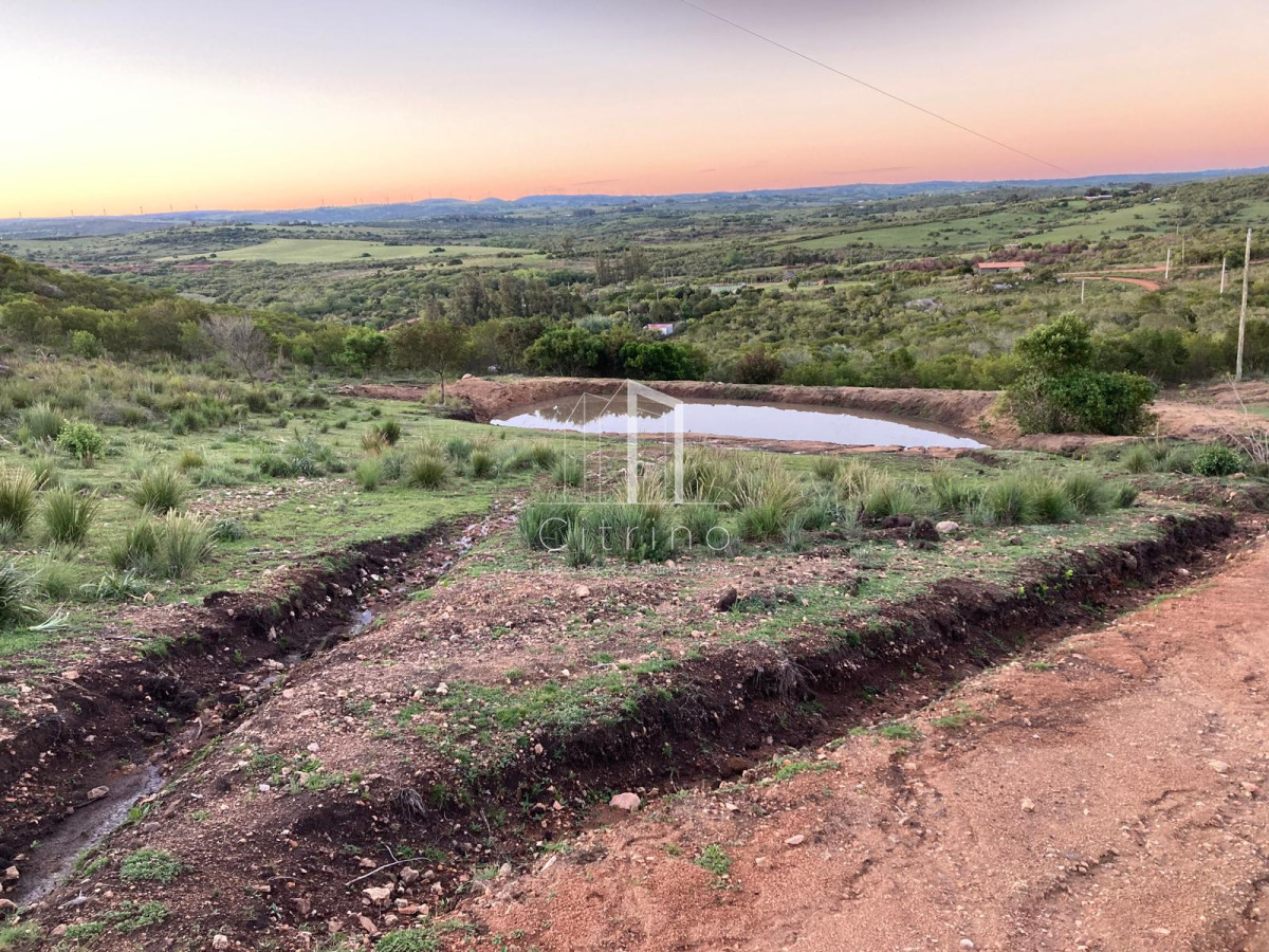 Chacra ID.1208 - Vendo Hermosa Chacra en Las Cañas.