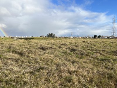 Venta de Terreno en fraccionamiento Colinas de Maldonado.