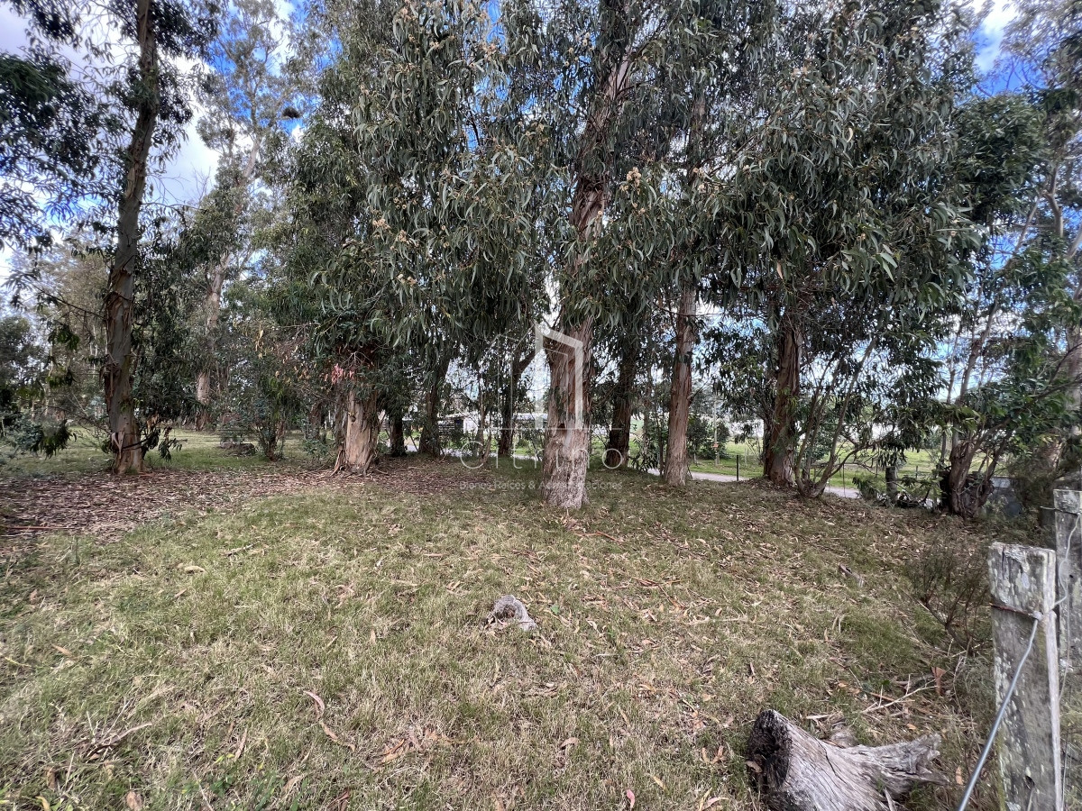 Terreno ID.132 - Venta de Terreno 1233 mts², Admite division.