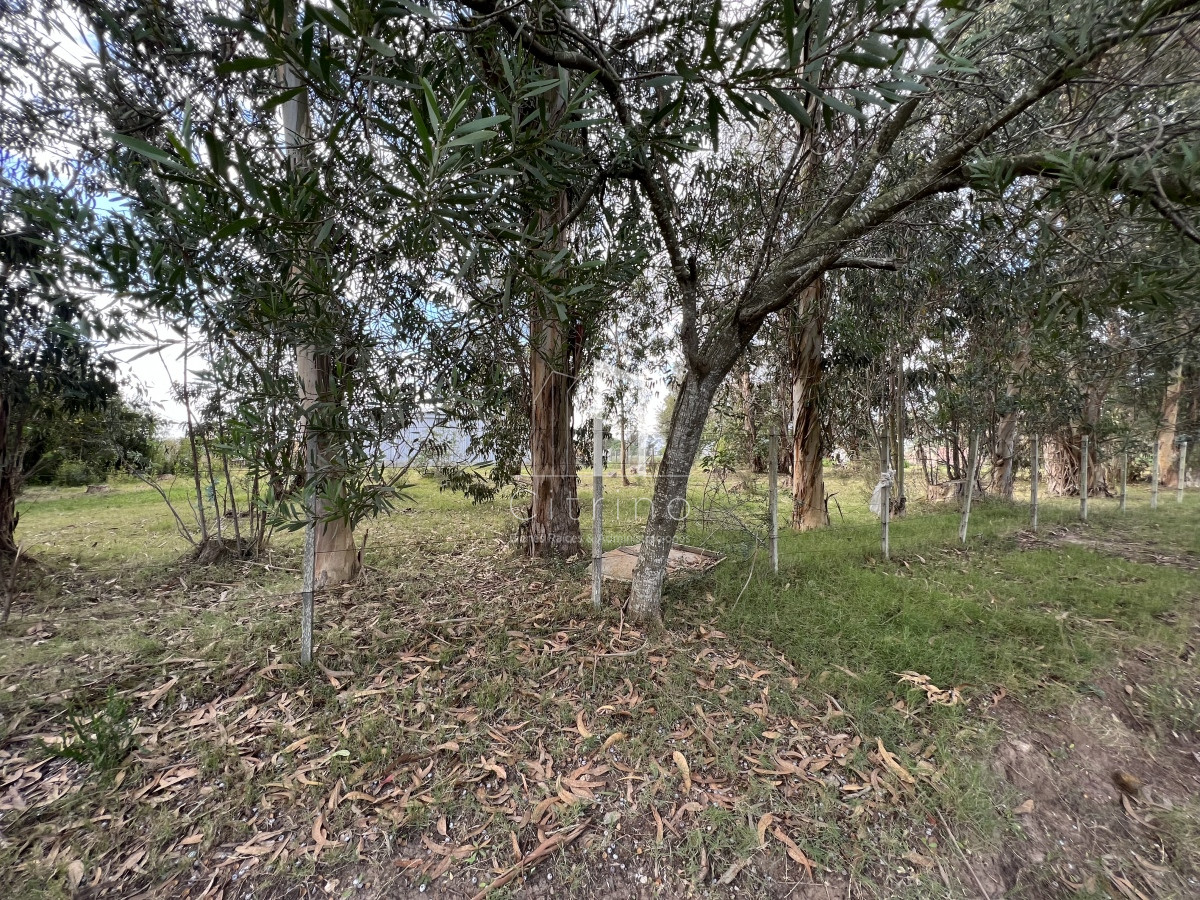 Terreno ID.132 - Venta de Terreno 1233 mts², Admite division.