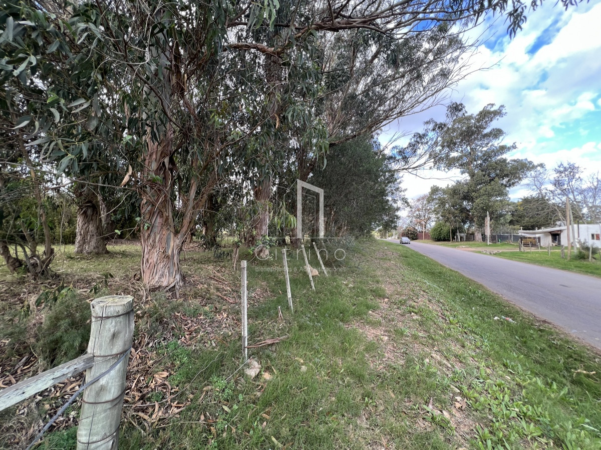 Terreno ID.132 - Venta de Terreno 1233 mts², Admite division.