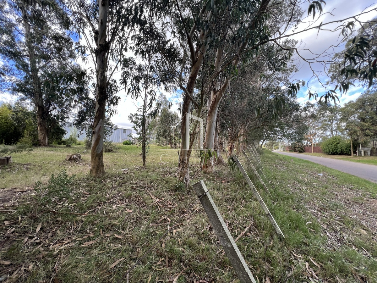 Terreno ID.132 - Venta de Terreno 1233 mts², Admite division.
