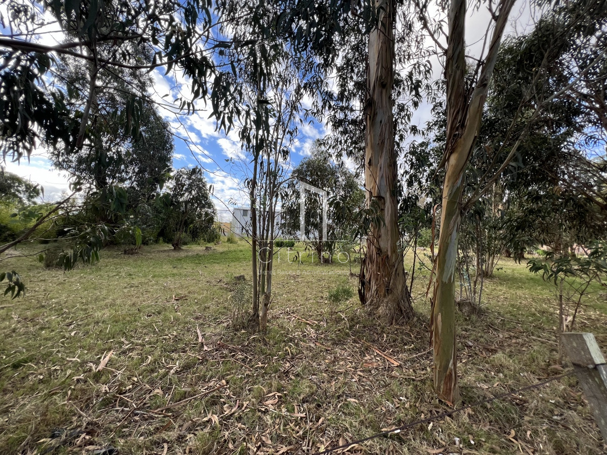 Terreno ID.132 - Venta de Terreno 1233 mts², Admite division.