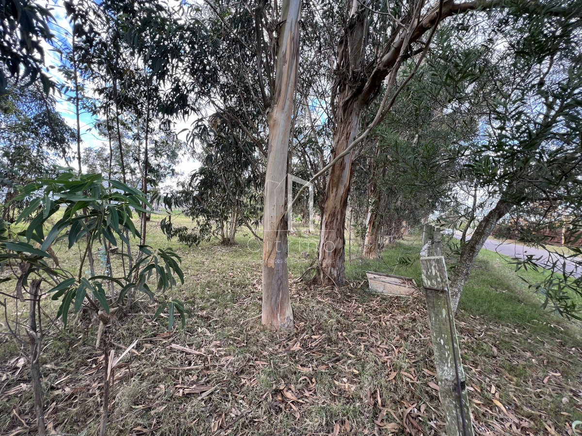 Terreno ID.132 - Venta de Terreno 1233 mts², Admite division.