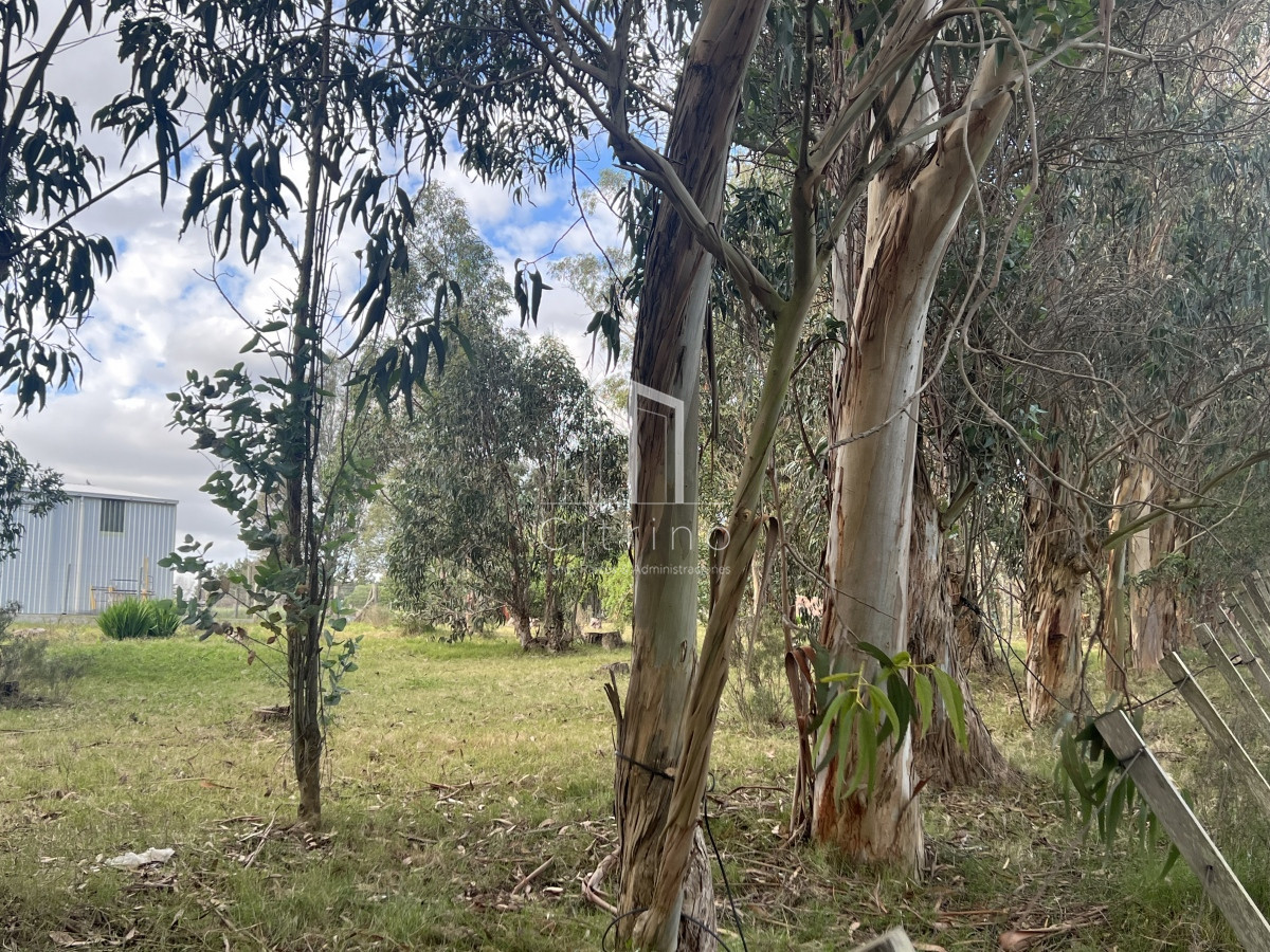Terreno ID.132 - Venta de Terreno 1233 mts², Admite division.