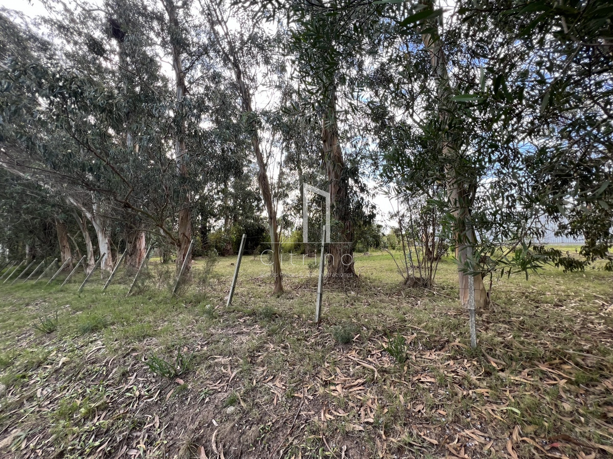 Terreno ID.132 - Venta de Terreno 1233 mts², Admite division.