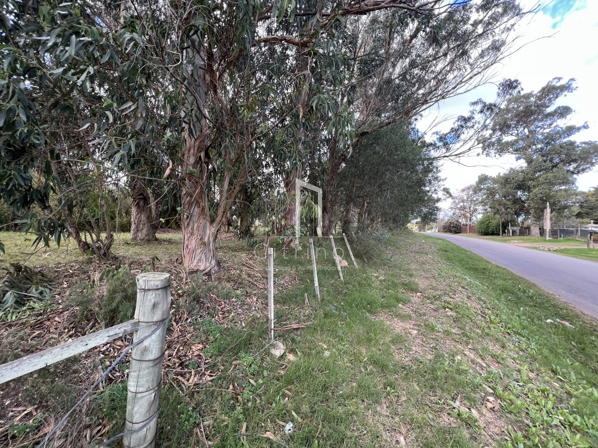 Terreno ID.132 - Venta de Terreno 1233 mts², Admite division.