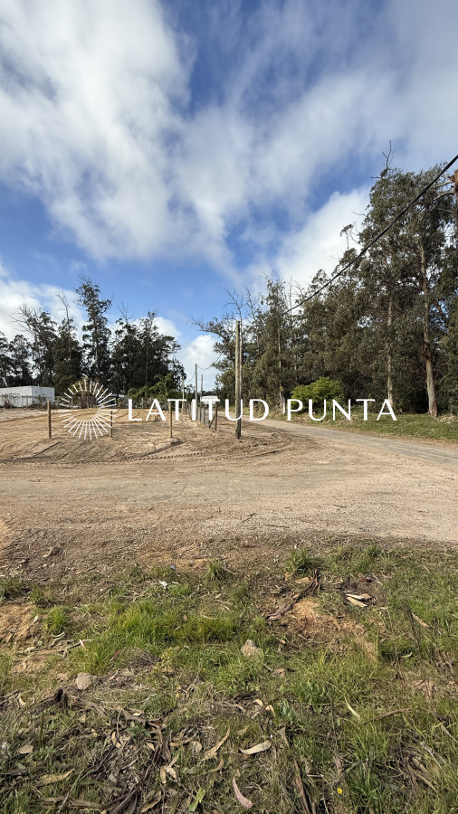 Marly - GoPunta - Portal Inmobiliario de Punta del Este - Maldonado