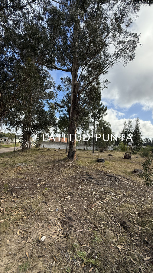 Marly - GoPunta - Portal Inmobiliario de Punta del Este - Maldonado