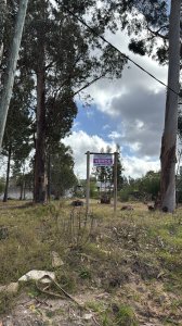 Terreno de 1300 metros en Marly, Punta del Este