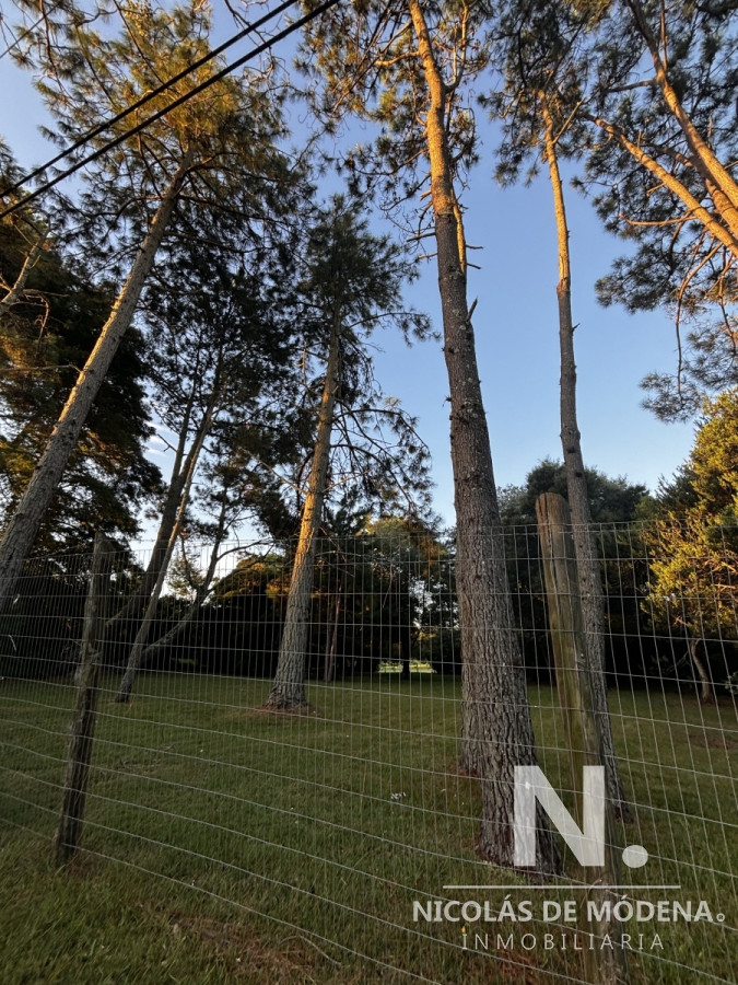Golf - GoPunta - Portal Inmobiliario de Punta del Este - Maldonado