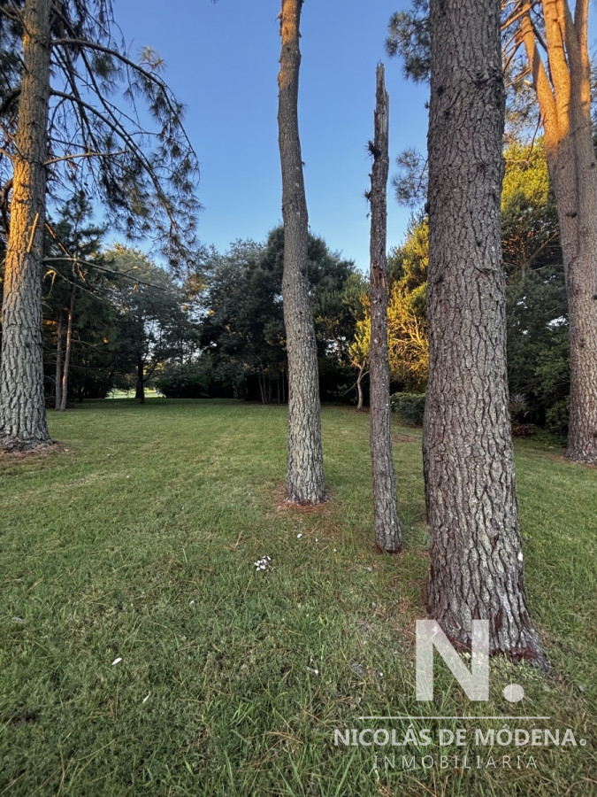 Golf - GoPunta - Portal Inmobiliario de Punta del Este - Maldonado