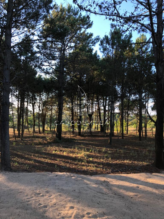 Casa ID.338 - En venta casa moderna en Barrio Privado Pinar del Faro, José Ignacio