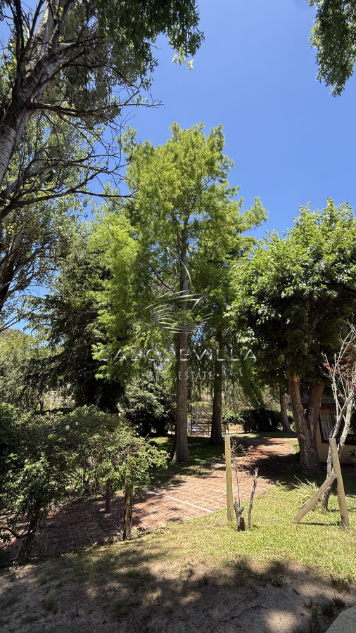 Casa ID.984 - Alquiler casa de 4 dormitorios Punta del Este 