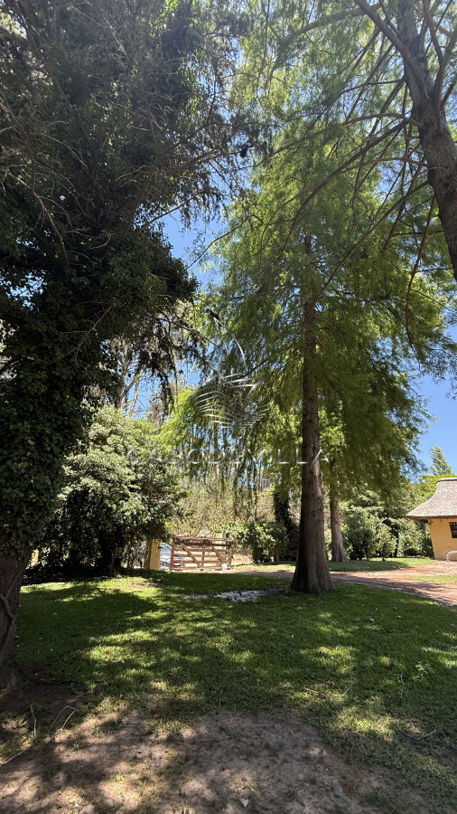 Casa ID.984 - Alquiler casa de 4 dormitorios Punta del Este 