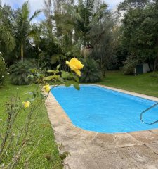 En venta y alquiler anual casa de 4 dormitorios más dependencia de servicio Punta del Este