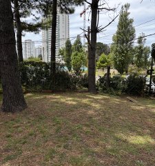 Venta en oportunidad casa de 3 dormitorios
