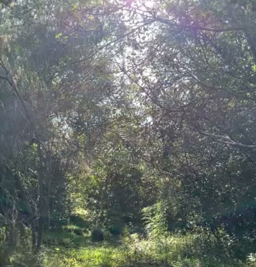 Chacra ID.295 - En venta chacras de 5 a 8 has Aiguá 