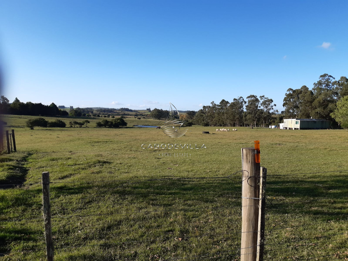 Chacra ID.297 - En venta chacra de 5 has con casa Ruta 39 Paso Dutra