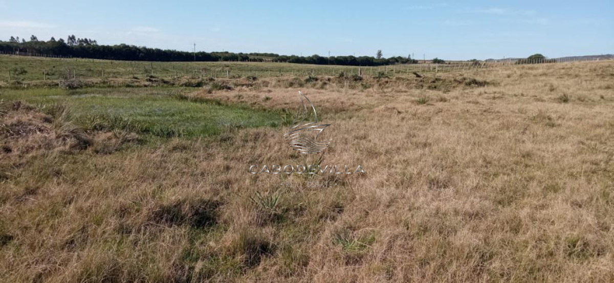 Chacra ID.165 - En venta chacra de 7,5 has con casa, Ruta 39