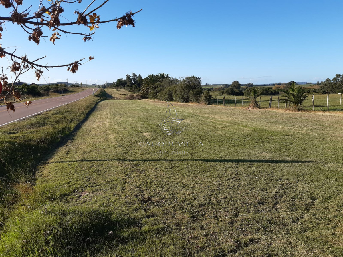 Chacra ID.297 - En venta chacra de 5 has con casa Ruta 39 Paso Dutra