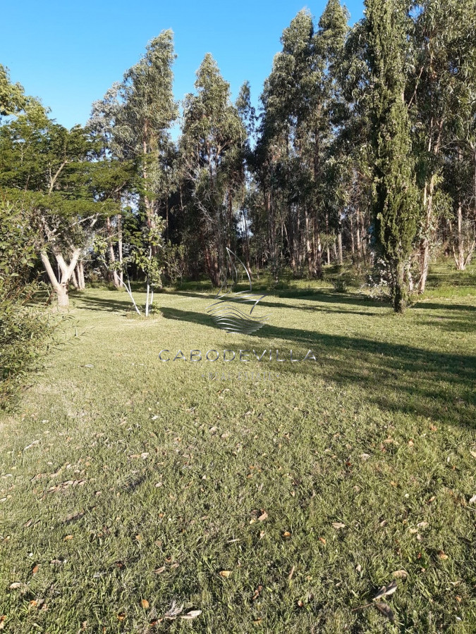 Chacra ID.297 - En venta chacra de 5 has con casa Ruta 39 Paso Dutra