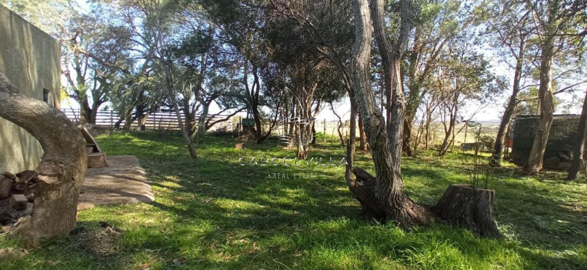 Chacra ID.165 - En venta chacra de 7,5 has con casa, Ruta 39