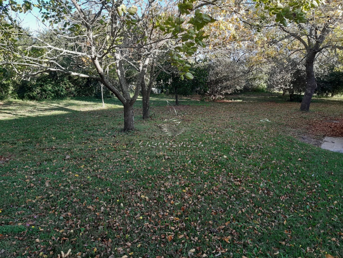 Chacra ID.297 - En venta chacra de 5 has con casa Ruta 39 Paso Dutra