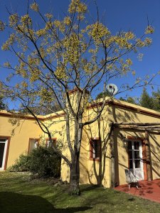 En venta chacra de 2.8 has a 14 kilómetros de Maldonado 