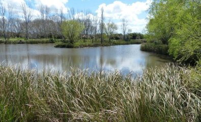 En venta Chacra de 5 has Punta del Este