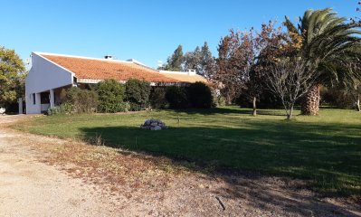 En venta chacra de 5 has con casa Ruta 39 Paso Dutra