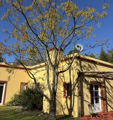 En venta chacra de 2.8 has a 14 kilómetros de Maldonado