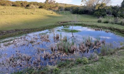 En venta chacra de 3 hectáreas con casa Sierra de los Caracoles