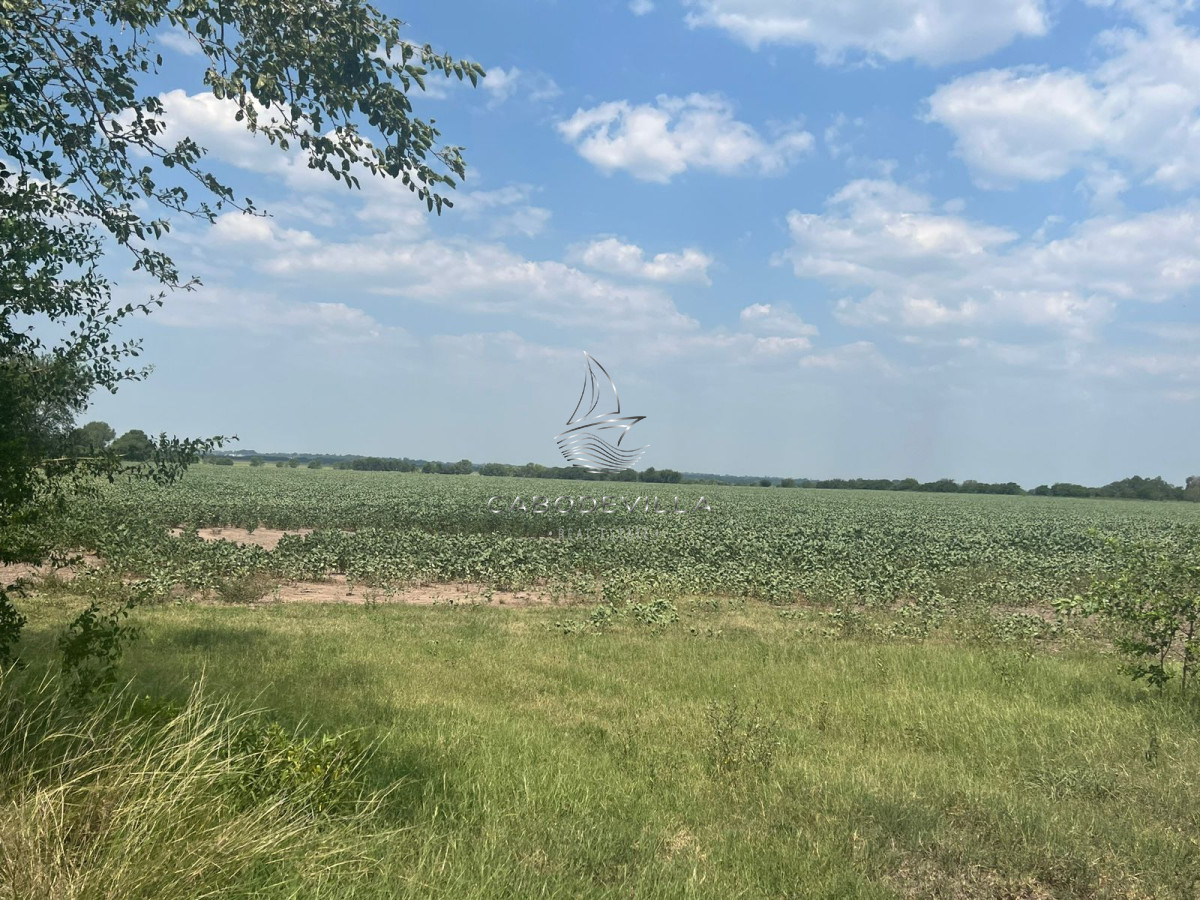 Campo Ref.245 - En venta campo de 175 has en Buenos Aires Argentina